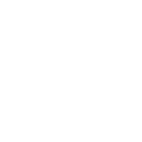 Elite Virtual Hockey League