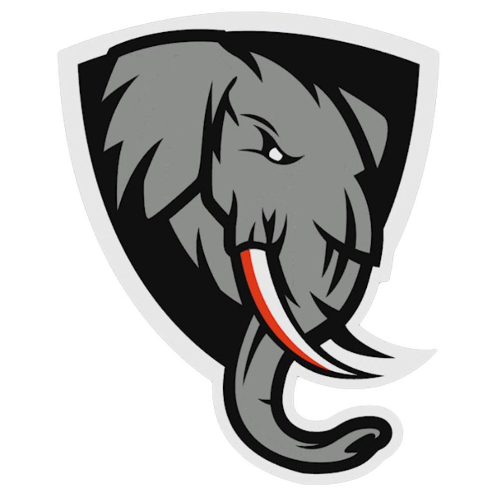 Tennessee copperheads vs st louis summoners elite virtual hockey league